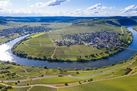The Moselle at Trittenheim