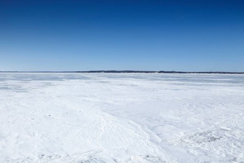 Winter landscape