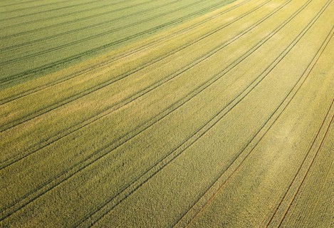 Drone image