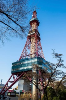 TV tower in downtown Sapporo