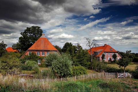 Hall houses in the marshland village of Konau
