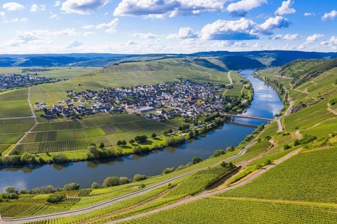 The Moselle at Trittenheim