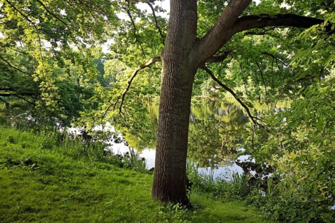 Bremer Wallanlagen