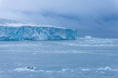 Very huge glacier on Mc Clintok or Klintok Island