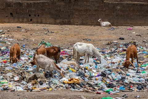 Rubbish on the streets of Bauchi