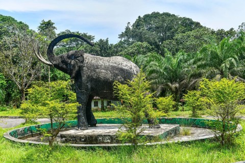 Cross river national Park