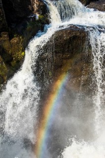 Rainbow in the Murchison Falls