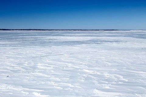 Winter landscape