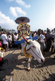 Masi Magam festival at Puducherry