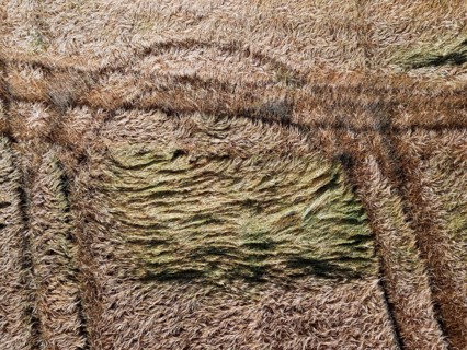 Drone image