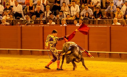 Matador with muleta and espada with running bull