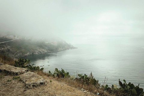 Coastal section