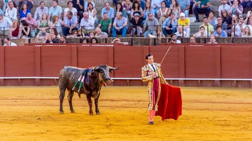 Matador with muleta and espada standing in front of bull