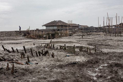 Remains of piles from pile dwellings washed away during storm surge