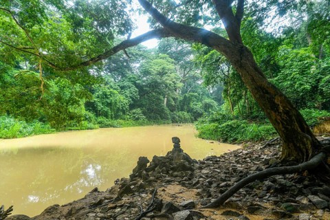 Voodoo scultpures in the Unesco site Osun-Osogbo Sacred Grove