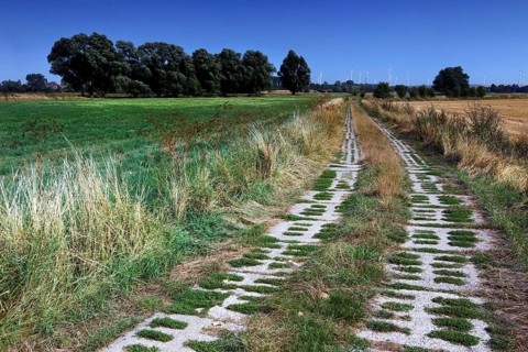 Column Trail