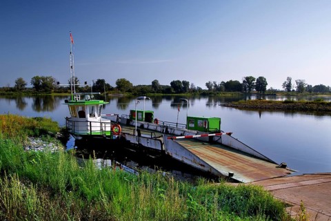 Elbe Ferry
