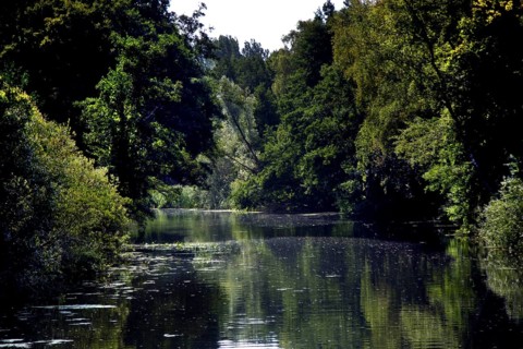 Wakenitz