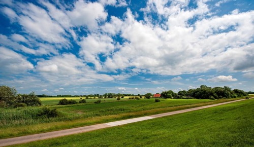 Inland behind the dike on the Wurster North Sea coast between Dorum-Neufeld and Wremen