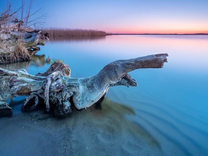 Bathing place with driftwood at the Peenestrom at sunset