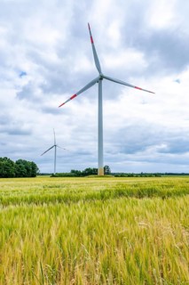 Wind turbines in Westerholz