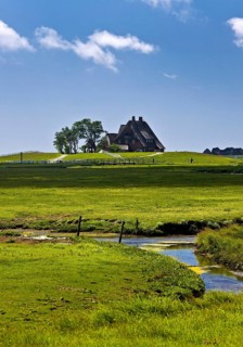 The Kirchwarft with marshland and drainage ditches