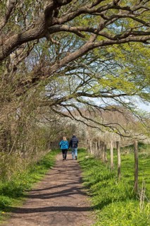 Hiking trail