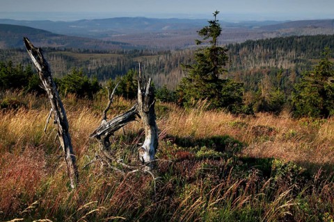 View of the Harz Mountains from the top of the Brocken