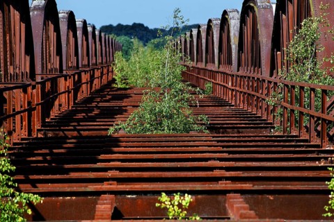 Destroyed railway bridge over the Elbe