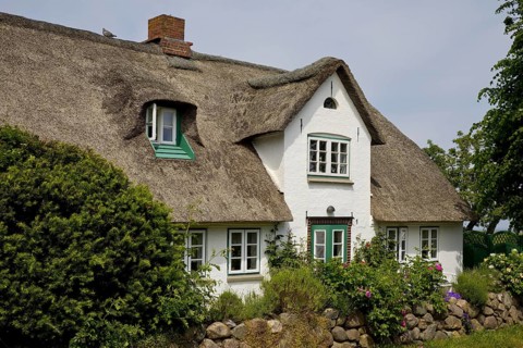 Thatched roof house