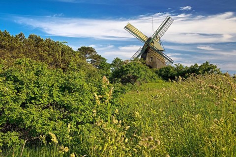 Landscape with windmill of the construction type Kellerhollaender