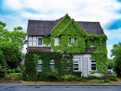 Green half-timbered house in the Rundlingsdorf Gistenbeck