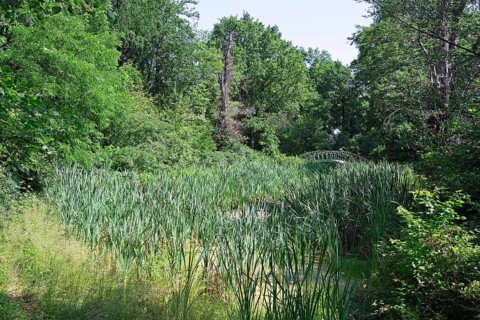 Typical landscape designed by Peter Josef Lenne