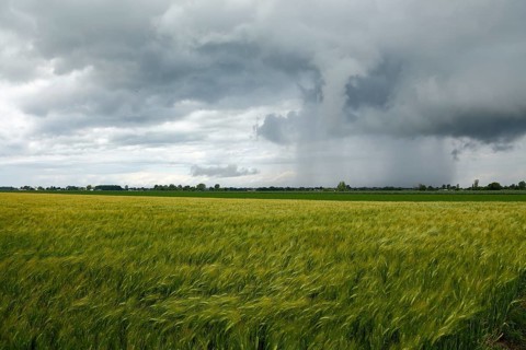 Storm clouds over farmland