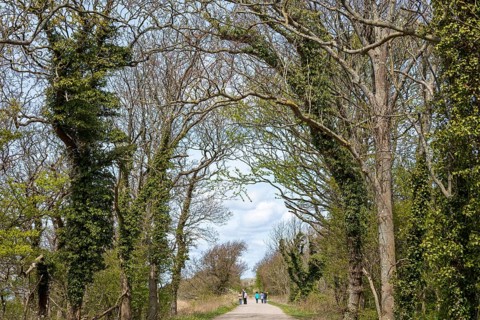Hiking trail