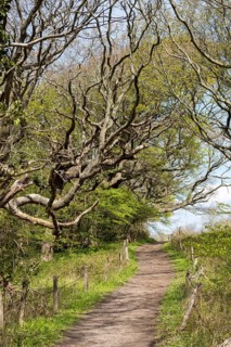 Hiking trail