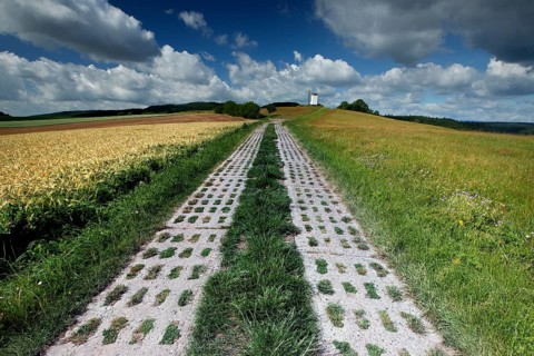 Kolonnenweg
