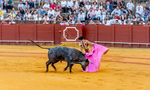 Banderillero with capa in front of bull