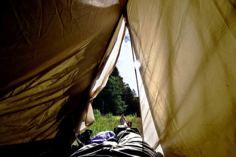 Legs peeping out of tent