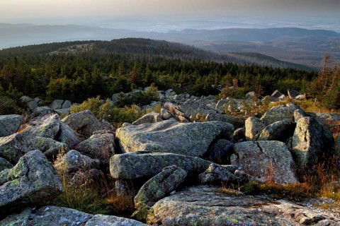 View of the Harz Mountains from the top of the Brocken