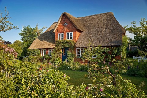 Thatched roof house