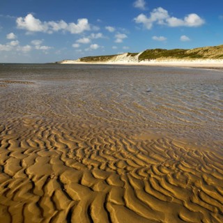 Spit with ripple pattern in yellow sand and dunes at low tide