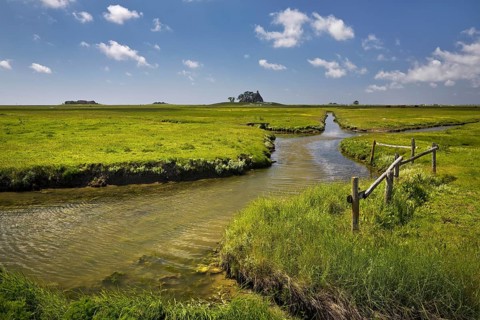 Marsh landscape with drainage ditches and terps