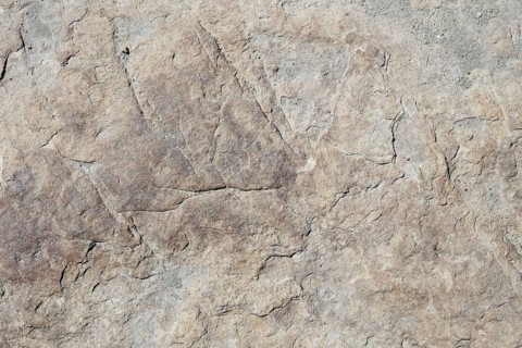 Stone pattern in a dry riverbed