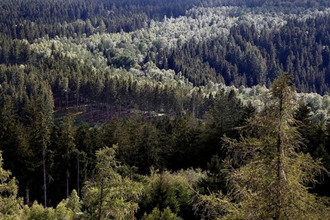 View from Thueringer Warte into the Bavarian-Thuringian border area of the former zonal border