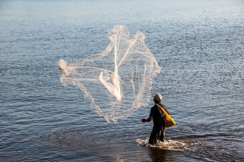 Man netfishing in the harbour of Apia