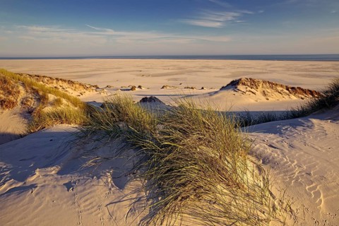 Dunes in the evening light with view of the Kniepsand and the sea