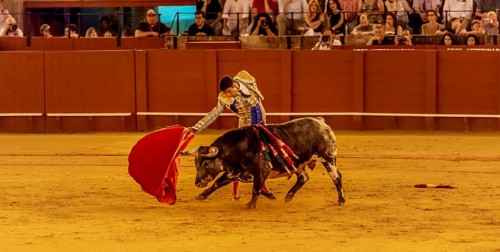 Matador with muleta and espada with running bull