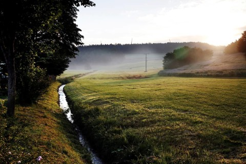 Morning atmosphere at the Tannbach in Moedlareuth
