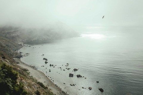 Coastal section